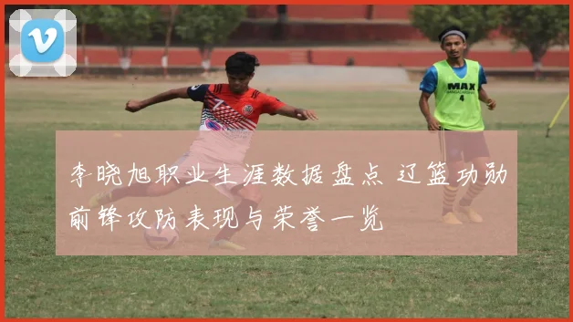 李晓旭职业生涯数据盘点 辽篮功勋前锋攻防表现与荣誉一览