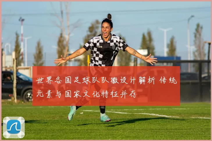 世界各国足球队队徽设计解析 传统元素与国家文化特征并存