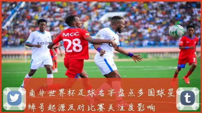 南非世界杯足球名字盘点多国球星绰号起源及对比赛关注度影响