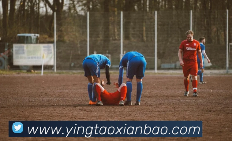 emc易倍全站网页版服务体系